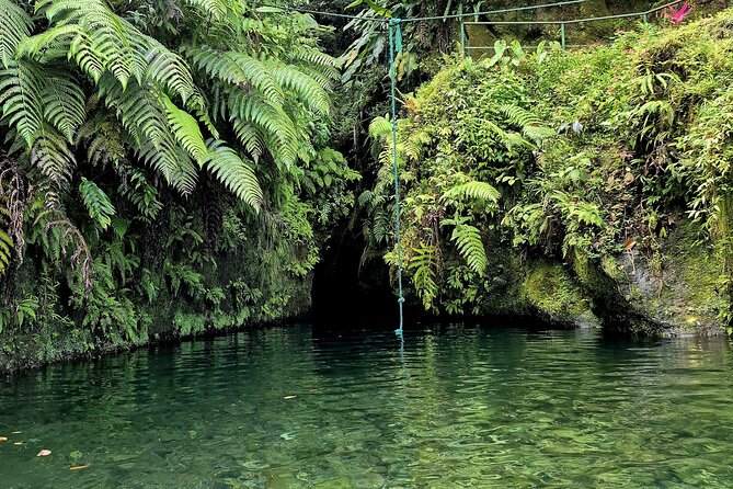 Dominica Adventure Hiking, Swimming, and Hot Springs Tour - Swimming through Titou Gorge