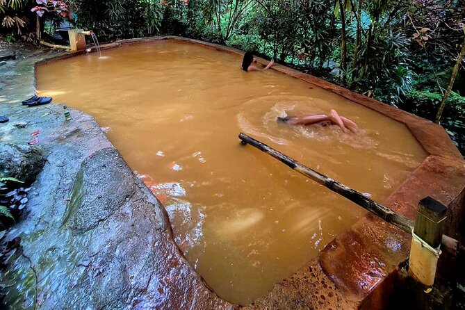 Dominica Adventure Hiking, Swimming, and Hot Springs Tour - Transport, group size, and the pace of the day