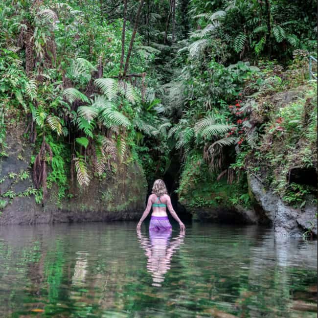 Dominica Hot Springs Waterfalls and Titou Gorge Treasures - Trafalgar Falls and the short rainforest walk