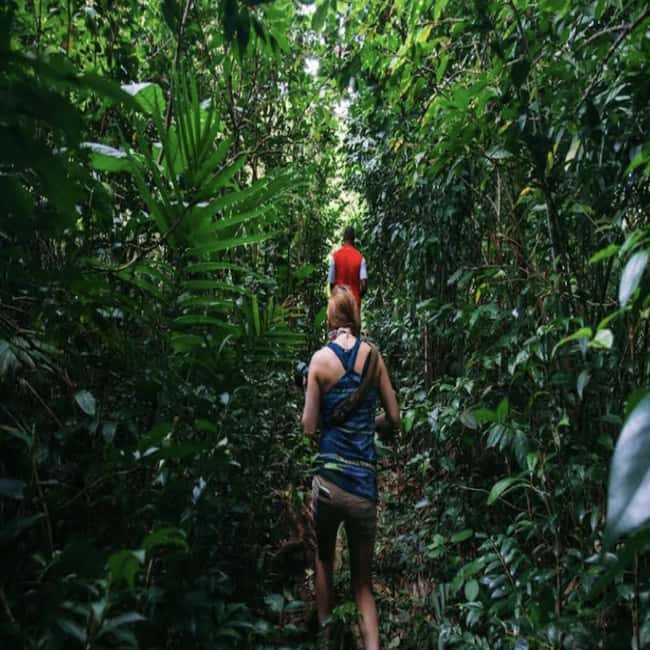 Dominica Hot Springs Waterfalls and Titou Gorge Treasures - Is $107 good value?