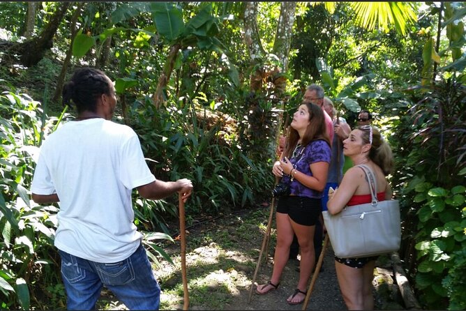 Dominica Hot Springs Waterfalls & Titou Gorge Treasures - Morne Bruce gives you a Roseau orientation