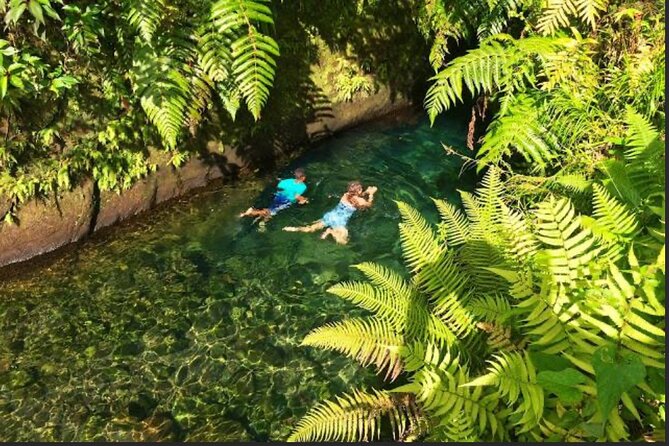 Dominica Hot Springs Waterfalls & Titou Gorge Treasures - Trafalgar Falls and the short walk to the view