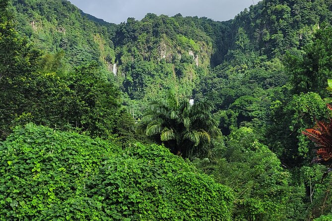 Dominica Scenic Waterfalls and Hot Springs @ Autop Tours - Key points to know before you book
