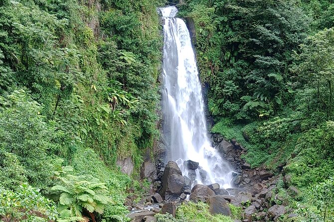 Dominica Scenic Waterfalls and Hot Springs @ Autop Tours - Wotten Waven: steam, boiling water, and volcanic power