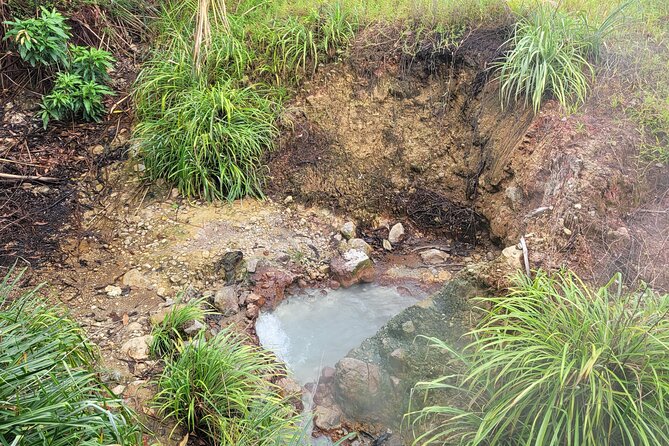 Dominica Scenic Waterfalls and Hot Springs @ Autop Tours - Why the $35 price can make sense
