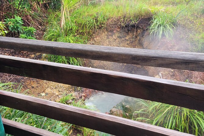 Dominica Scenic Waterfalls and Hot Springs @ Autop Tours - Trafalgar Falls: big scenery without a hard walk
