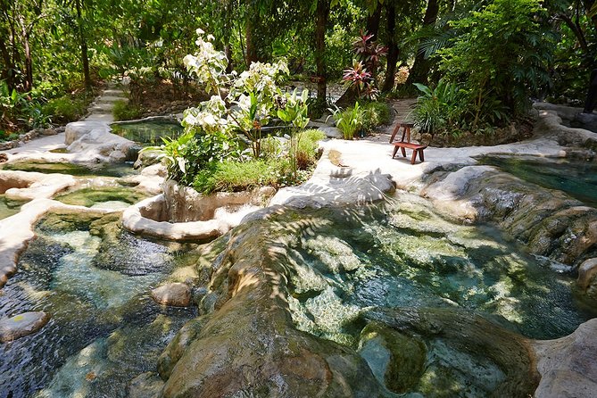 ECO Premium Jungle Hot Springs and Temple Tour - Guides, group size, and the human side of the day