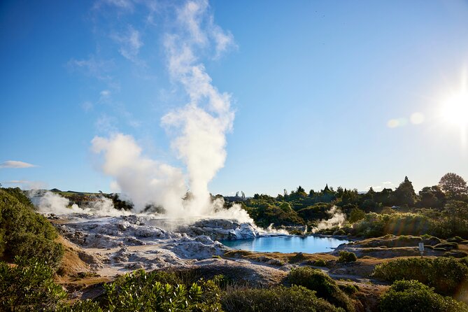 Ex Auckland: Rotorua Māori Village with Haka and Hot Springs - The haka and the value of a local-led visit