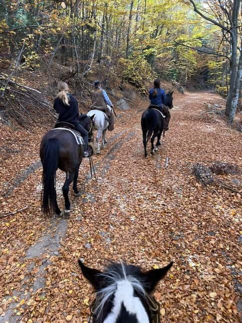 ✨Experience Sofia - nature, history, horse riding and SPA✨ - A Bulgarian lunch in the mountains