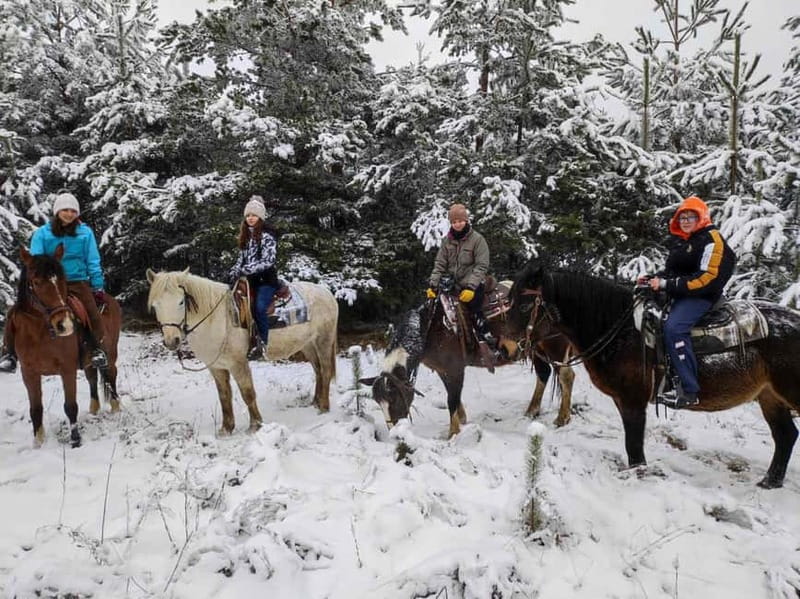 ✨Experience Sofia - nature, history, horse riding and SPA✨ - Is $274 a fair price?