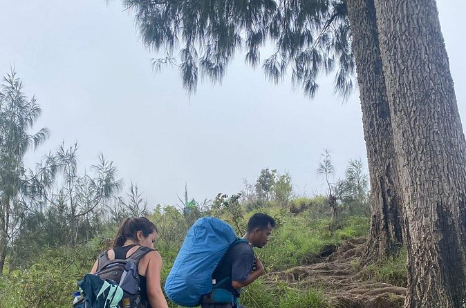Explore Mount Rinjani To Summit, Lake & Hot Spring (3D 2N) - Food, equipment, and camp comfort
