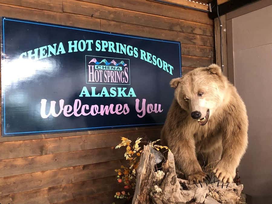 Fairbanks: Northern Lights and Chena Hot Springs Tour - Why this Chena Hot Springs night works