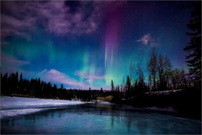 Fairbanks: Northern Lights and Chena Hot Springs Tour