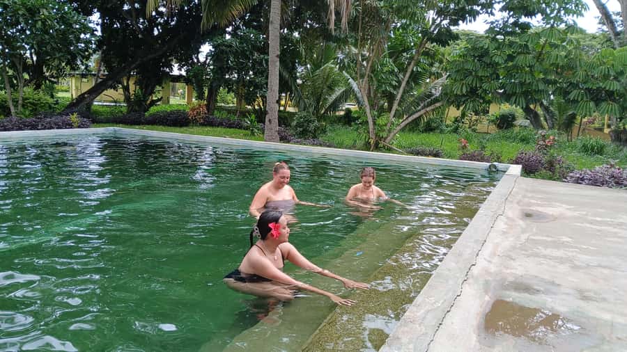 FIJI-NADI: Sabeto Tifajek Hot Spring and Mudpool Tour - The 2.5-hour visit, from mud wrap to hot spring