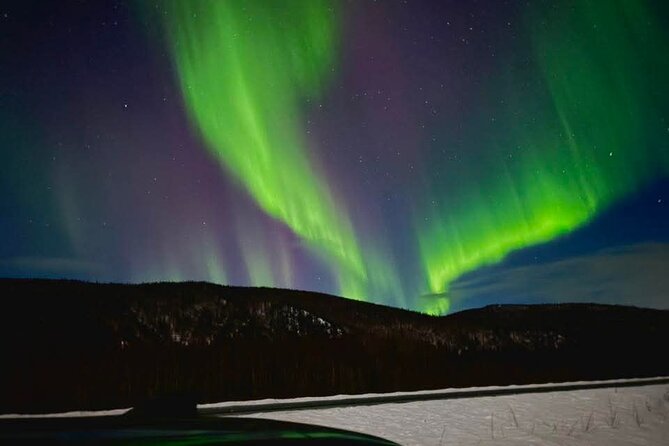 Fire & Ice: Chena Hot Springs, Ice Museum + Aurora Adventure - Key points to know before booking
