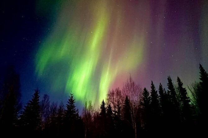 Fire & Ice: Chena Hot Springs, Ice Museum + Aurora Adventure - Why this Fire and Ice night works so well