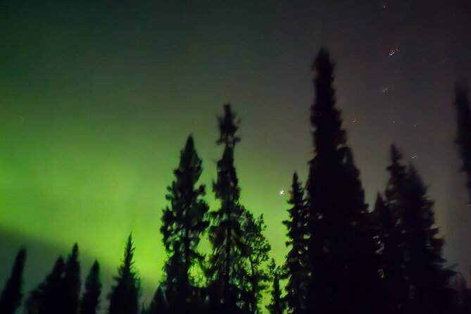 Fire & Ice: Chena Hot Springs, Ice Museum + Aurora Adventure - Dinner at the resort is optional