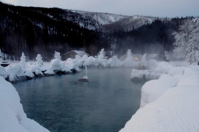 Fire & Ice: Chena Hot Springs, Ice Museum + Aurora Adventure - What the $270 price really covers