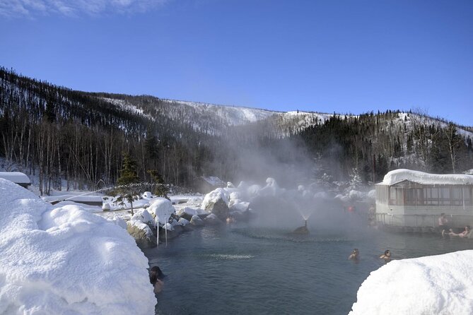 Fire & Ice: Chena Hot Springs, Ice Museum + Aurora Adventure - Who should choose this tour
