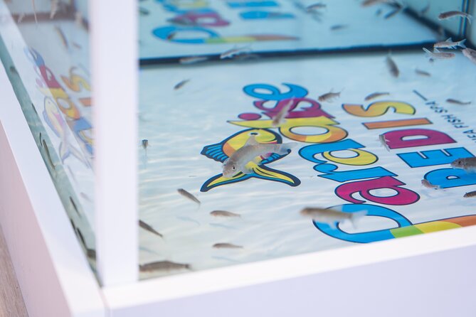 Fish, Fun & Feet – Caribbean’s Largest Fish Spa Experience! - Is $65 a Fair Price?