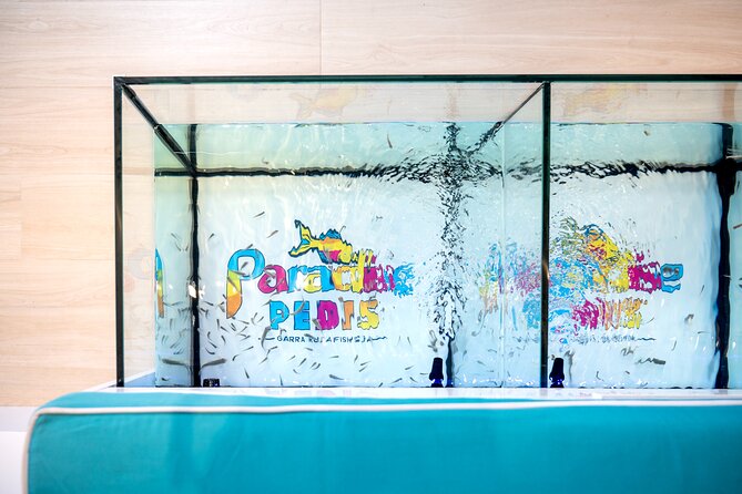 Fish, Fun & Feet – Caribbean’s Largest Fish Spa Experience! - What May Not Work for You