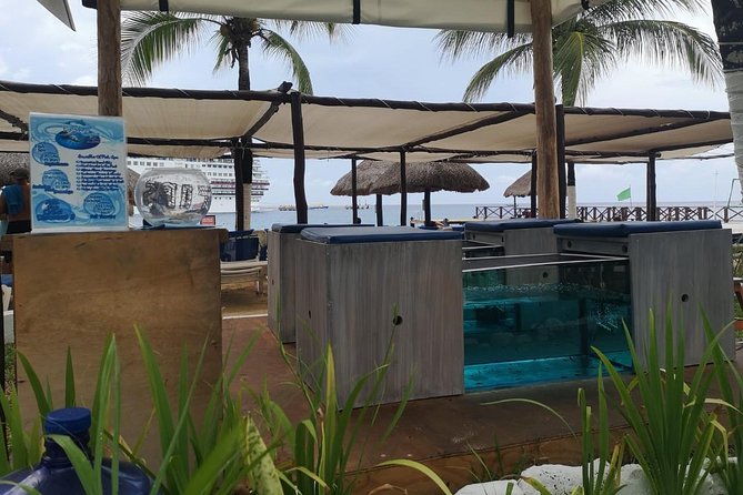 Fish Spa, Beach Break with Lounge Chairs, Umbrellas & Beach Area - Chulas Pool Party and Beach Bar gives you a simple base