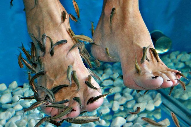 Fish Spa, Beach Break with Lounge Chairs, Umbrellas & Beach Area - How to use your one to five hours