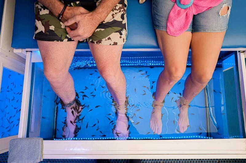 Fish Spa Experience Playa Fañabe - What happens during the 20-minute session