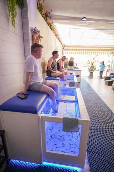Foot care experience and Fish Spa Playa Fañabé