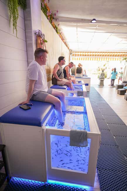 Foot care experience and Fish Spa Playa Fañabé - The fish spa: the unusual part of the visit