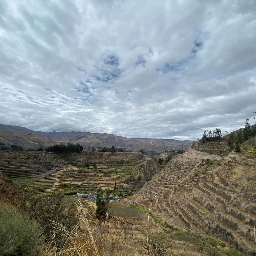 From Arequipa: Colca Canyon & La Calera Thermal Waters - Who should choose this Colca tour