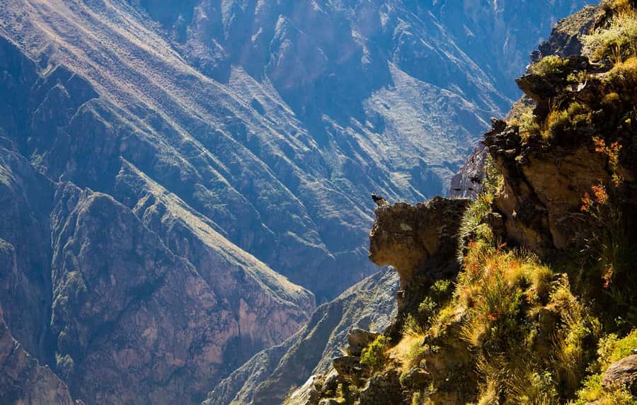 From Arequipa: Colca Valley & Thermal Baths Small-Group Trip - Patapampa and the 4,910-meter volcano viewpoint