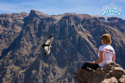 From Arequipa: Colca Valley & Thermal Baths Small-Group Trip