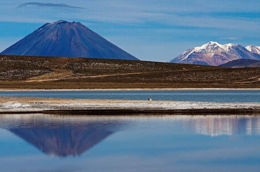From Arequipa: Salinas Lagoon Full-Day Trip with Hot Springs - Key points to know before booking