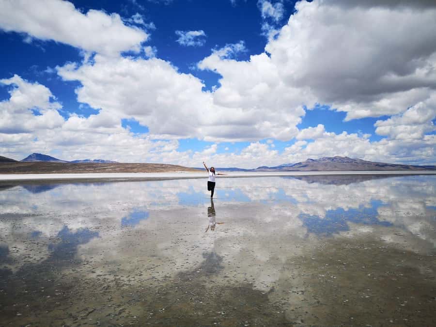 From Arequipa: Salinas Lagoon Full-Day Trip with Hot Springs - Alto Simbral at 4,200 meters