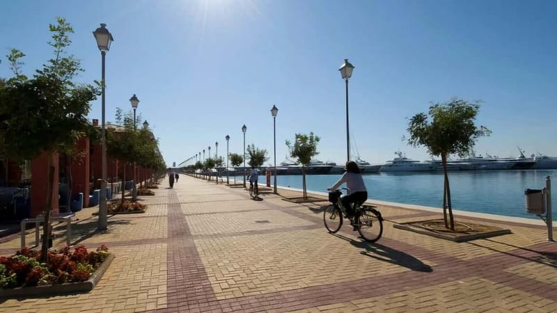 From Athens: Lake Vouliagmeni Spa & Temple of Poseidon Tour - The driver makes the difference