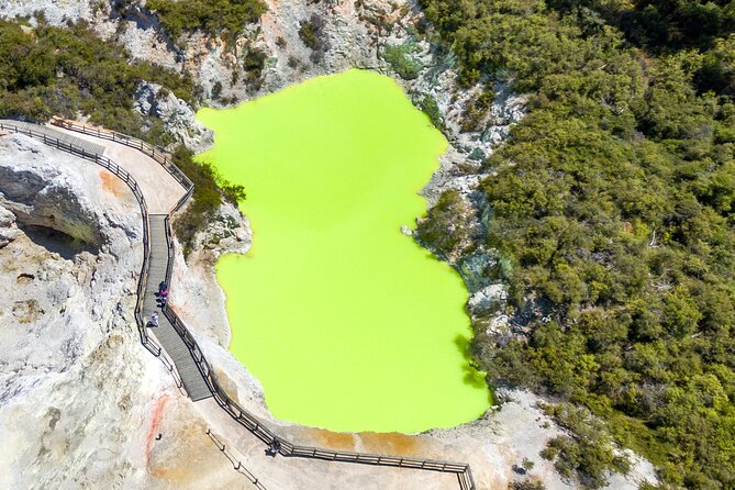 From Auckand: Waiotapu and Polynesian Spa Rotorua Day Tour - A brief look at Rotorua before the spa