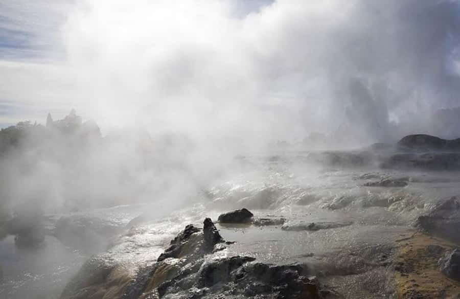 From Auckland: Rotorua Māori Village & Hot Springs with Haka - Lunch and time to look around