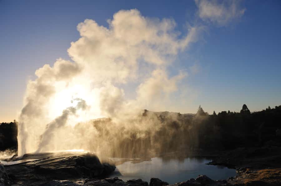 From Auckland: Rotorua Te Puia, Haka & Polynesian Spa Tour - Te Puia, where the ground refuses to sit still