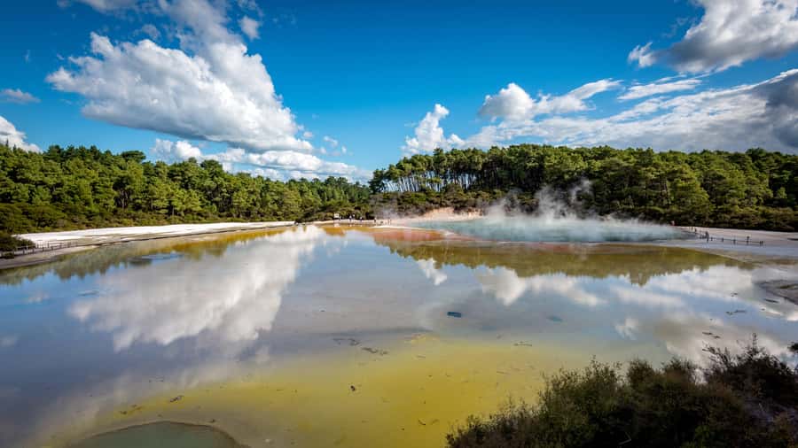 From Auckland: Wai-O-Tapu & Polynesian Spa Rotorua Day Tour - Key points to know before booking