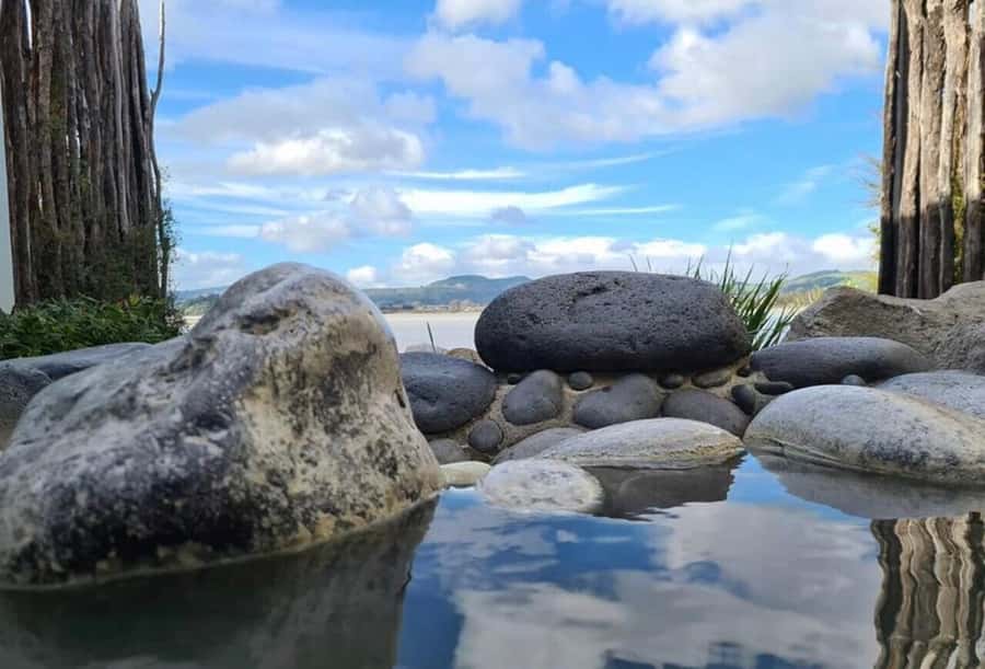 From Auckland: Wai-O-Tapu & Polynesian Spa Rotorua Day Tour - The long return to Auckland