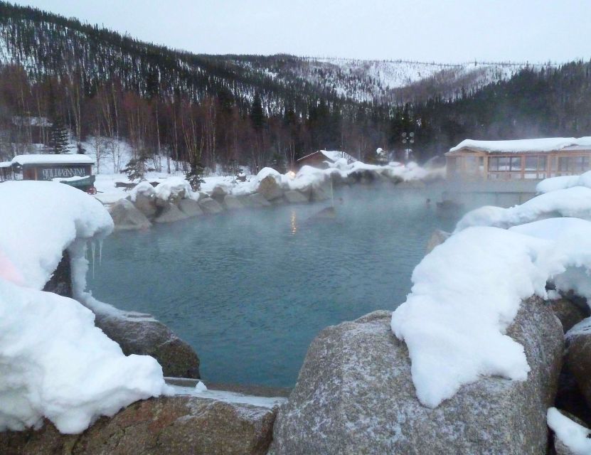 From Fairbanks: Chena Hot Springs Northern Lights Tour - The Aurora Ice Museum, where winter never ends