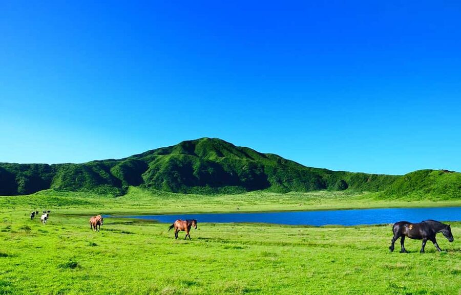 From Fukuoka: Mount Aso, Kurokawa Onsen, and Shrine Tour - Who should book this tour?