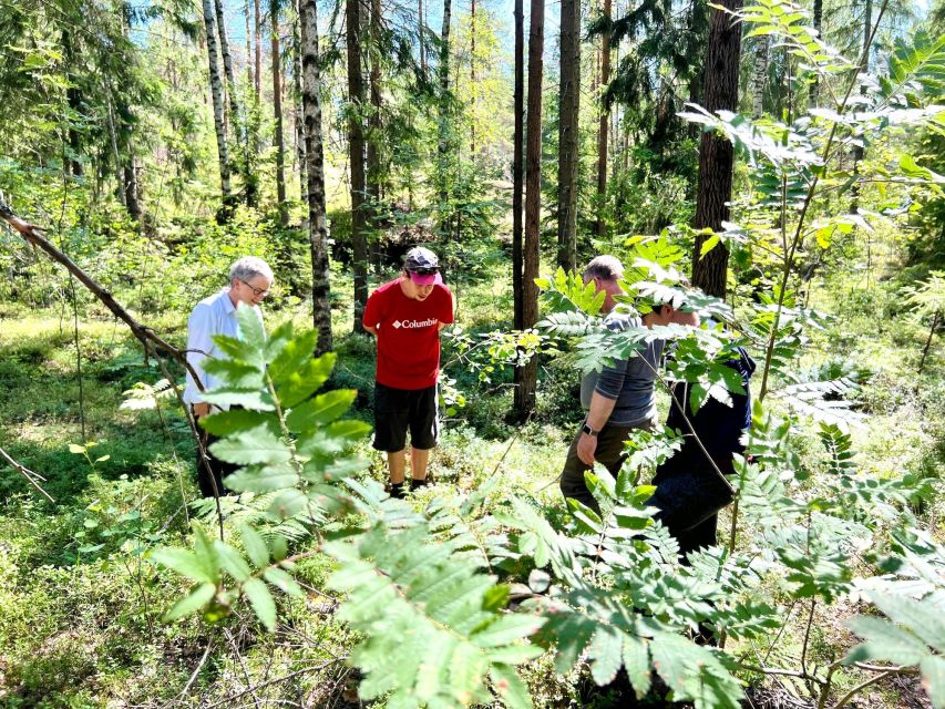 From Helsinki: Hike and Sauna in Sipoonkorpi National Park - Key points to know