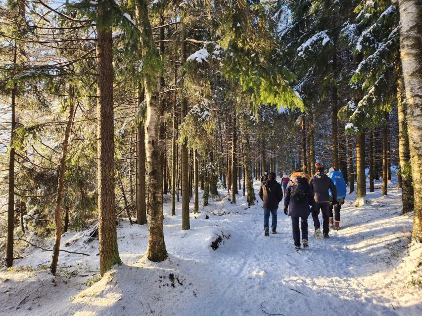 From Helsinki: Hike and Sauna in Sipoonkorpi National Park - FAQ
