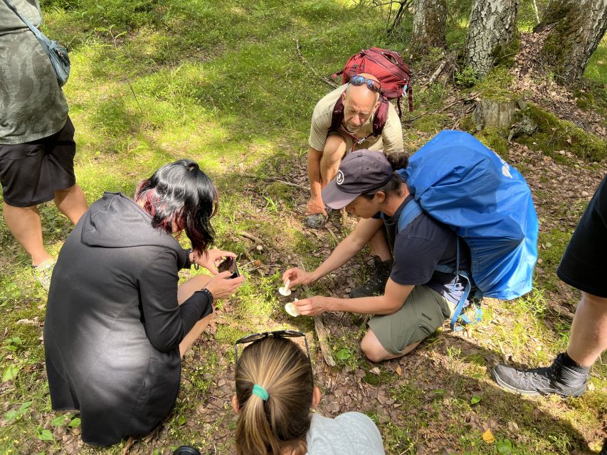 From Helsinki: Hike and Sauna in Sipoonkorpi National Park - Who should book this day out