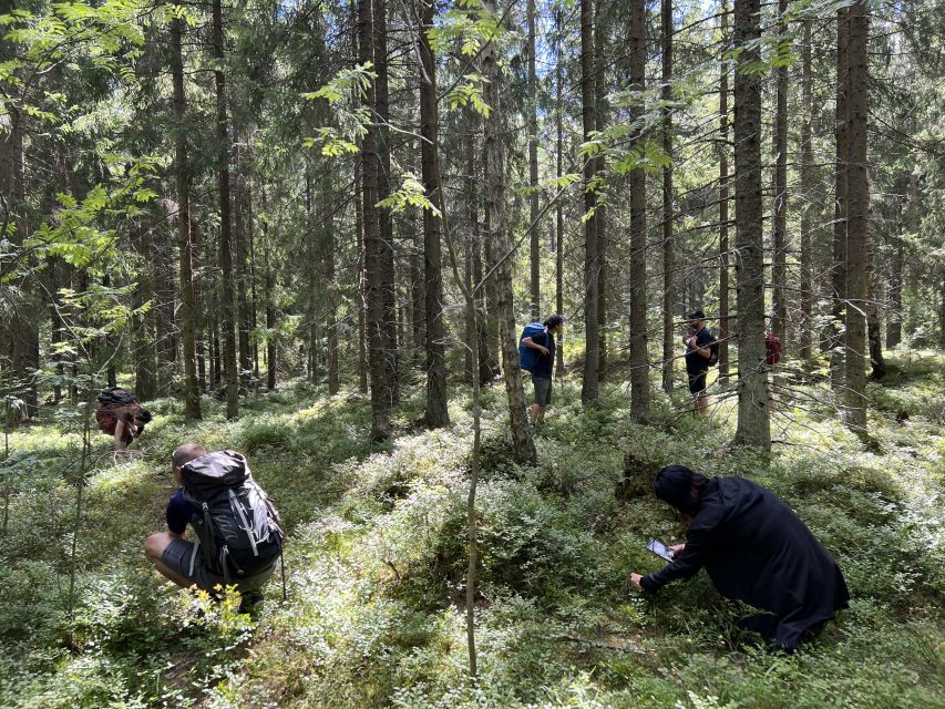 From Helsinki: Hike and Sauna in Sipoonkorpi National Park - From Kiasma to the taiga