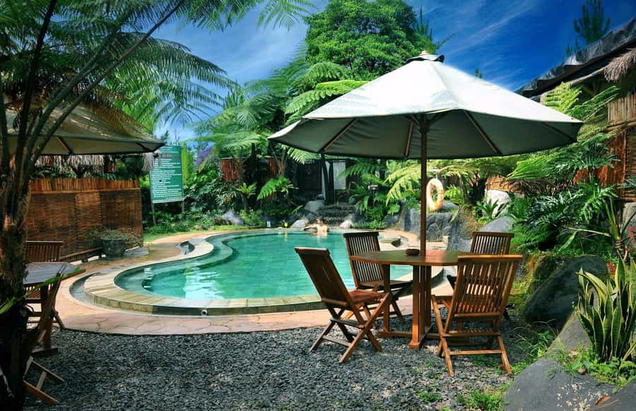 From Jakarta : Volcano, Tea & Rice Fields, Hot Spring - What the $135 price really covers