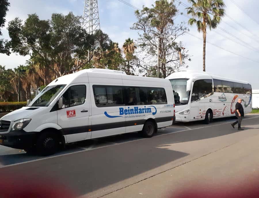 From Jerusalem: Relaxing Dead Sea Spa & Sightseeing Day Tour - Arriving at the Dead Sea resort