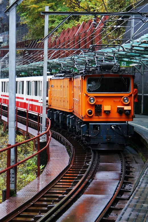 From Kanazawa: Kurobe Gorge & Unazuki Onsen Full-Day Tour - Who will enjoy this day most?